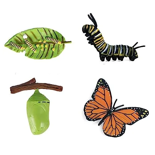 Butterfly Evolution Periods Magnets - Bring Funny Cute Magnets to Your Refrigerator with These Adorable and Educational Fridge Magnet (Butterfly)