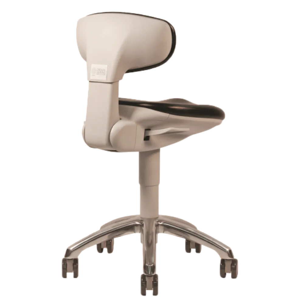 European Contour Ergonomic Chair with Lumbar Back