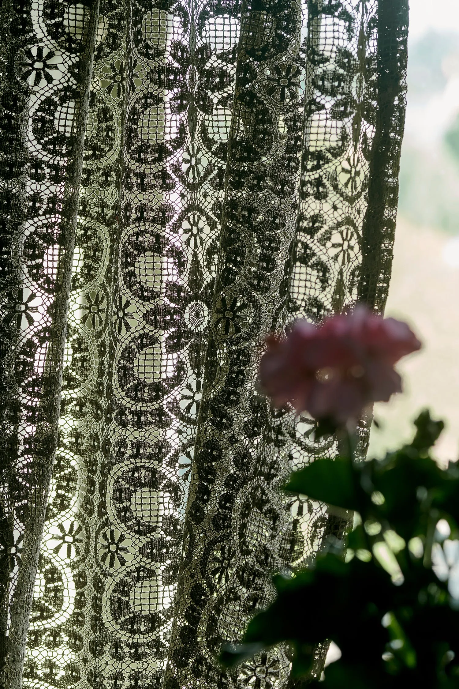 NEW Curtain Newark Lace Sage