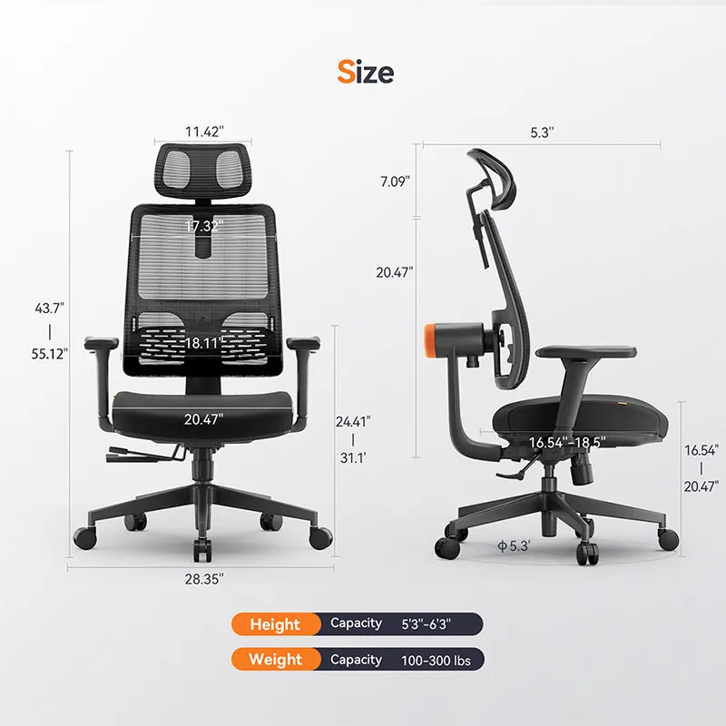 NEWTRAL MAGICH003 Ergonomic Office Chair with Adaptive Lower Back Support