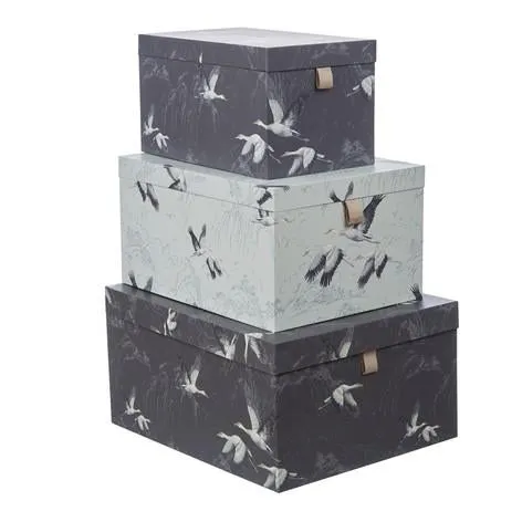 Set of 3 Animalia Storage Boxes