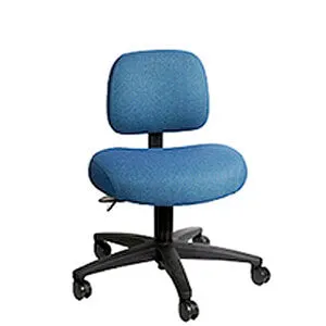 SomaComfort Low Back Ergonomic Comfort and Productivity Chair by Soma