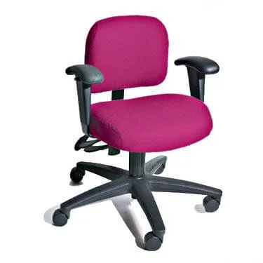 SomaComfort Low Back Ergonomic Comfort and Productivity Chair by Soma