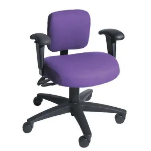 SomaComfort Low Back Ergonomic Comfort and Productivity Chair by Soma