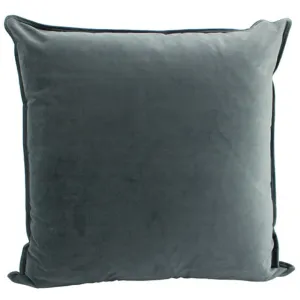 Velvet Cushion