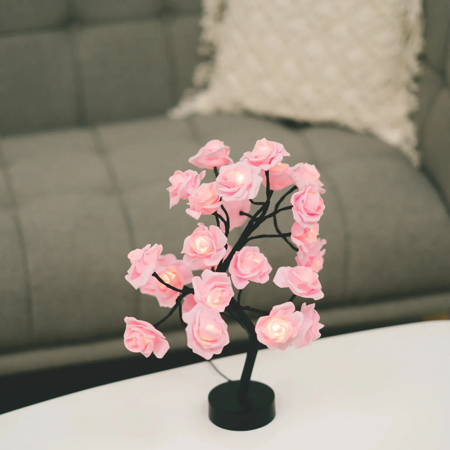 x3 Delightful Rose Tree™ [FAMILY PACK]